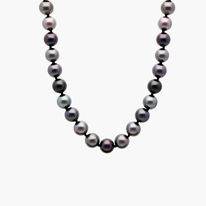 Tahitian Pearl Strand Necklace